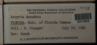 Image Associated With the Occurence